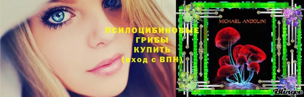 сатива Баксан