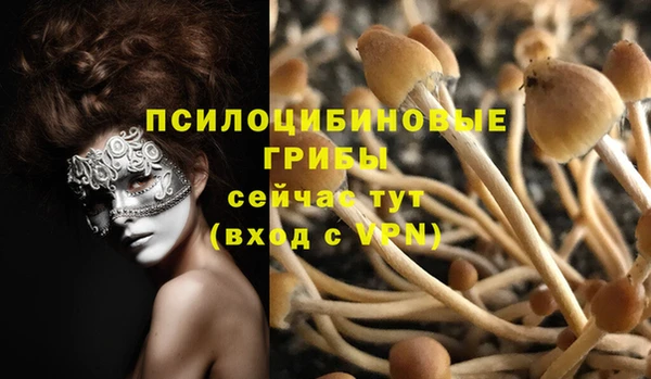метадон Покачи